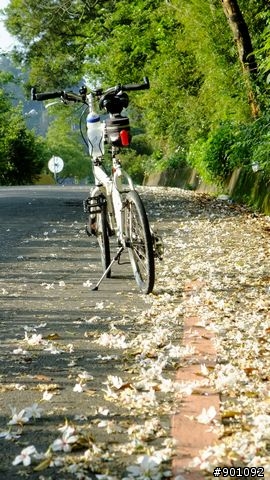 苗栗 三義 銅鑼 油桐花騎跡 (圖多)