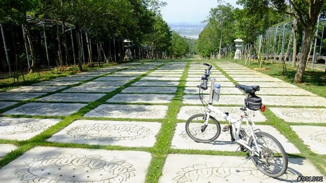 苗栗 三義 銅鑼 油桐花騎跡 (圖多)