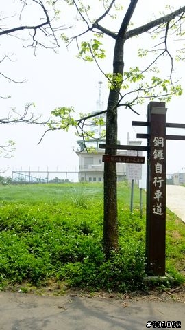 苗栗 三義 銅鑼 油桐花騎跡 (圖多)