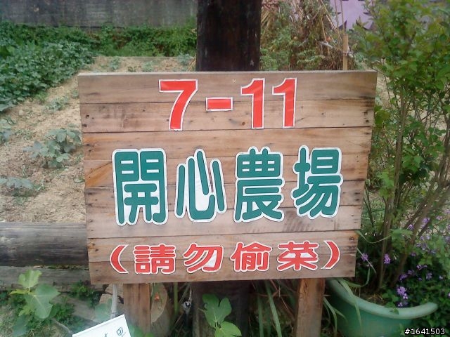 一個人環4分之1島（第一次發文）