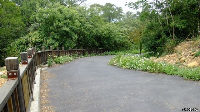 苗栗 三義 銅鑼 油桐花騎跡 (圖多)