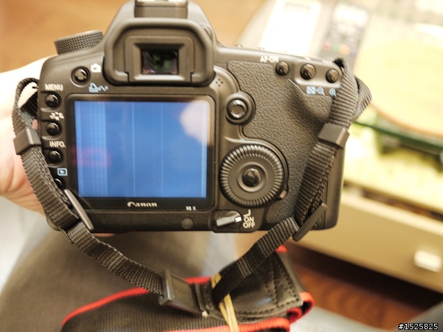 剛買的5D2送修經驗談(右上方上置液晶進塵、LCD雜訊、電池問題)