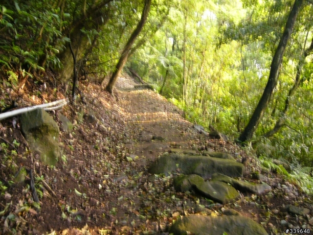 陽明山之橫嶺古道初探險