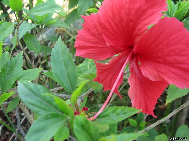 如何改善camon sx210的飽合度