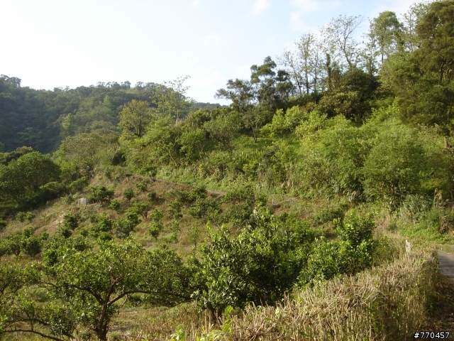 竹北私藏路線分享