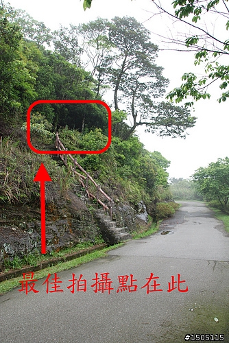 石碇「二格道雲瀑」拍攝點分享-4/10增修