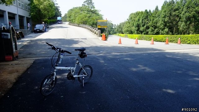 苗栗 三義 銅鑼 油桐花騎跡 (圖多)