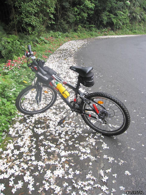 菜鳥單騎迷路記