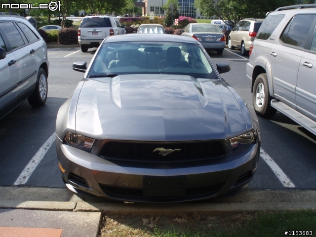野馬租車直擊!Ford Mustang美國租車分享- 內有圖