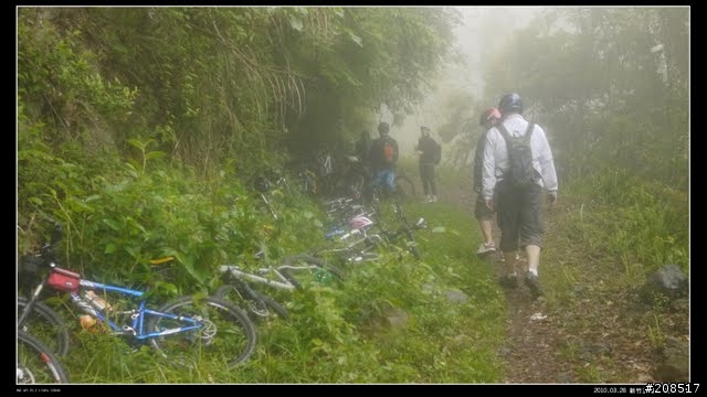 羅山林道