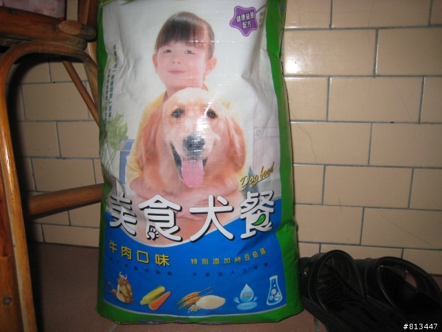 有人知道我家的小狗叫什麼嗎??
