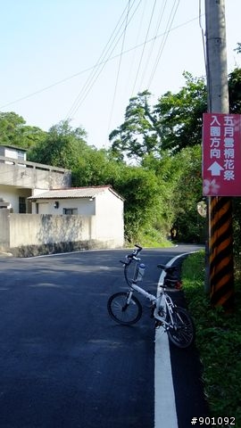 苗栗 三義 銅鑼 油桐花騎跡 (圖多)