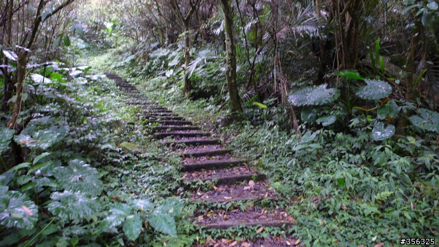 [遊記] 烏來雨中單車越野樂....卡拉莫基步道+哈盆越嶺古道(半程)
