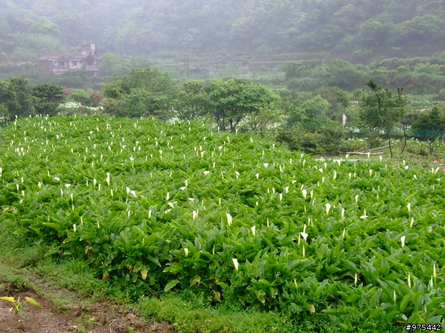【遊記】一個人的北部慘痛之旅~~~~~~又冷又下雨又累還爆膝
