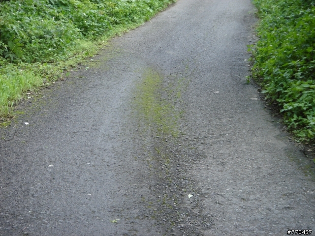 竹北私藏路線分享