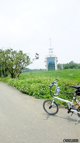 苗栗 三義 銅鑼 油桐花騎跡 (圖多)