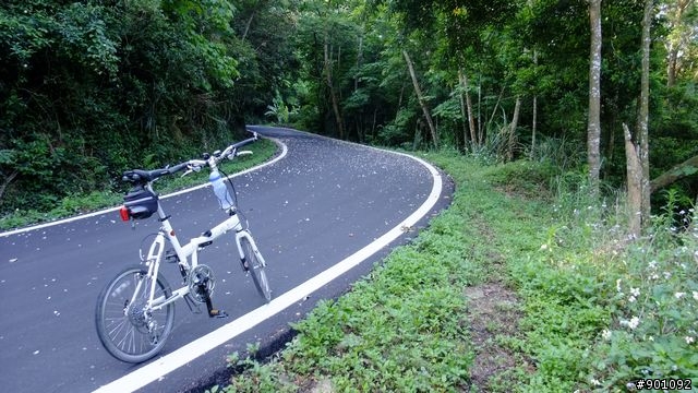 苗栗 三義 銅鑼 油桐花騎跡 (圖多)