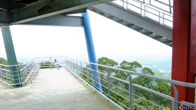 苗栗 三義 銅鑼 油桐花騎跡 (圖多)