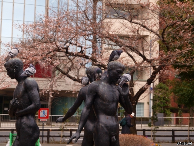 日本3/27-3/31照片分享一下