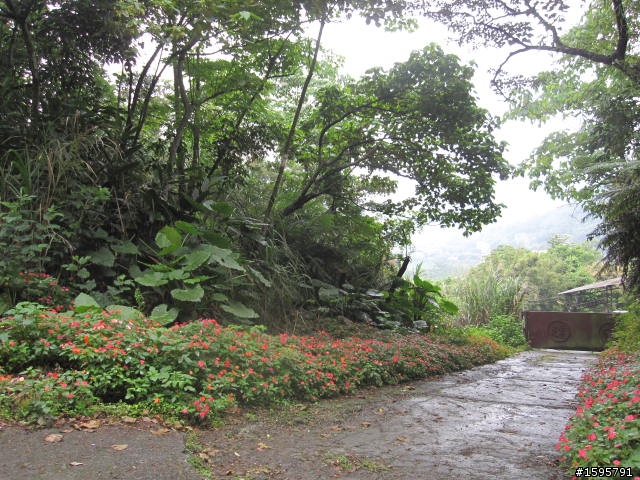菜鳥單騎迷路記