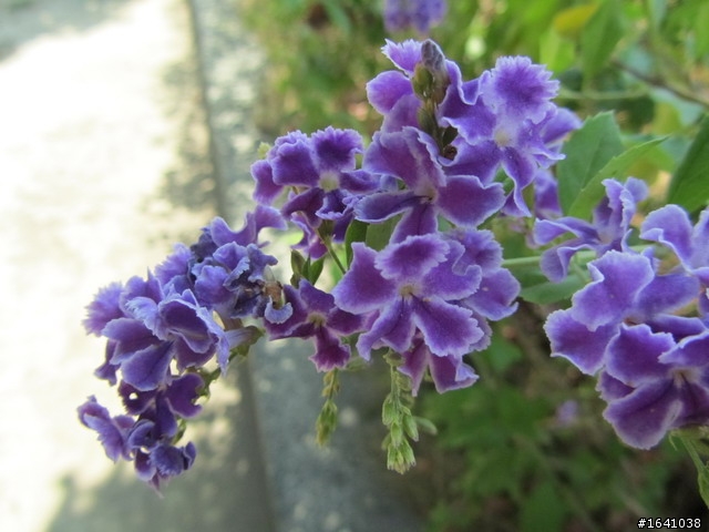 如何改善camon sx210的飽合度