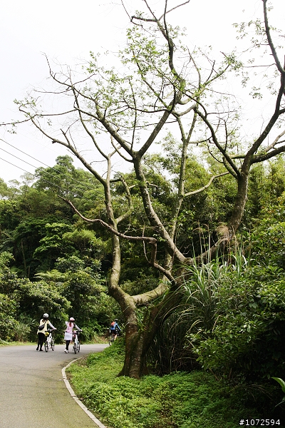 [遊記分享]LOHAS cycling 樂活慢騎。健行去