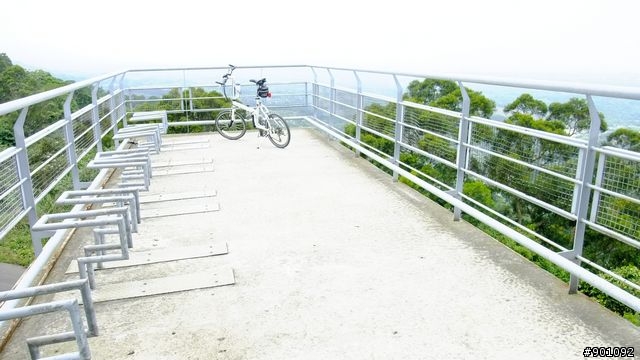 苗栗 三義 銅鑼 油桐花騎跡 (圖多)