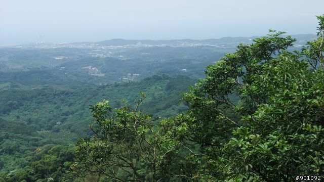 苗栗 三義 銅鑼 油桐花騎跡 (圖多)