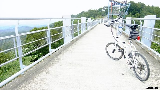 苗栗 三義 銅鑼 油桐花騎跡 (圖多)