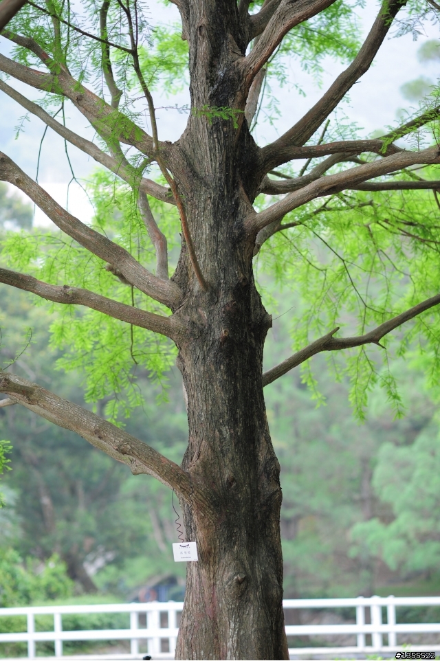 [分享] Nikon AF DC-Nikkor 105mm f/2D 開箱文