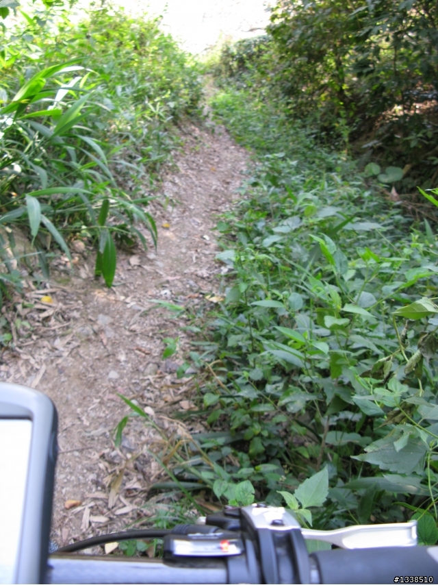 (土撥鼠單車)20100421-五公山 騎+扛車 賞 油桐花記