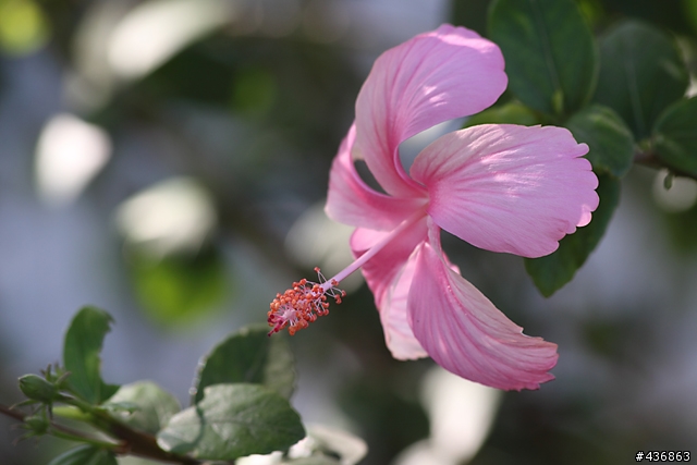 千年傳統．全新感受 ── 重新發現小小黑 EF 70-300mm F4-5.6 IS USM