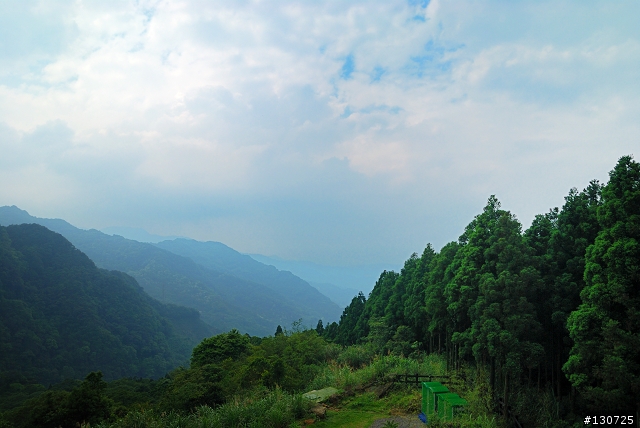 [三峽]桐花來了竹崙路+三層坪+熊空休閒農場
