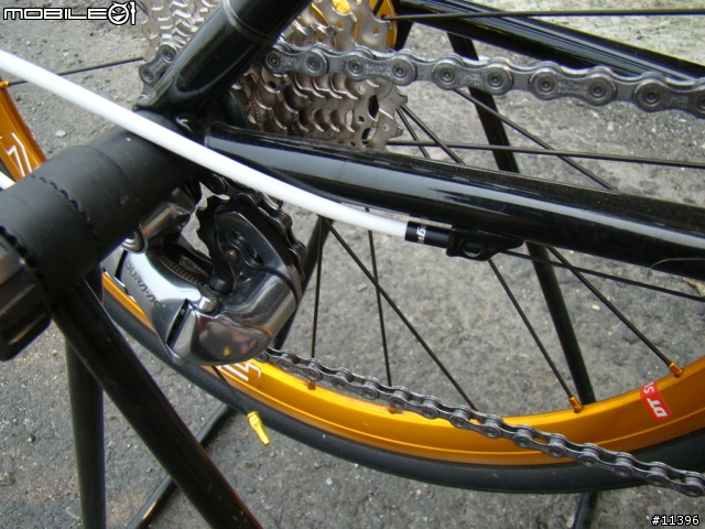 『阿元分享』因為珍藏所以溺愛~CINALINI小鋼砲套件升級~全碳纖前叉上身