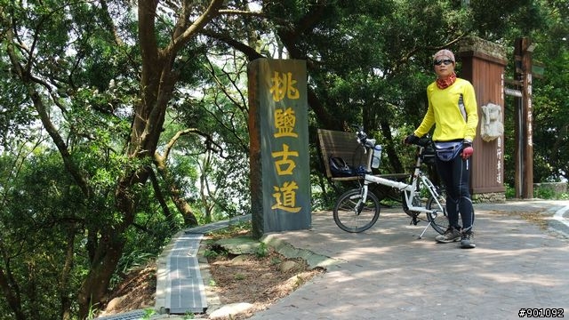 苗栗 三義 銅鑼 油桐花騎跡 (圖多)