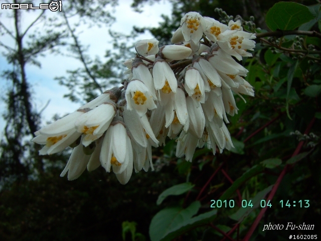 2010 3/31-4/5 六天五夜 一迴(南迴)四橫(北橫.中橫.南橫.新中橫)+泛舟 歸來報告