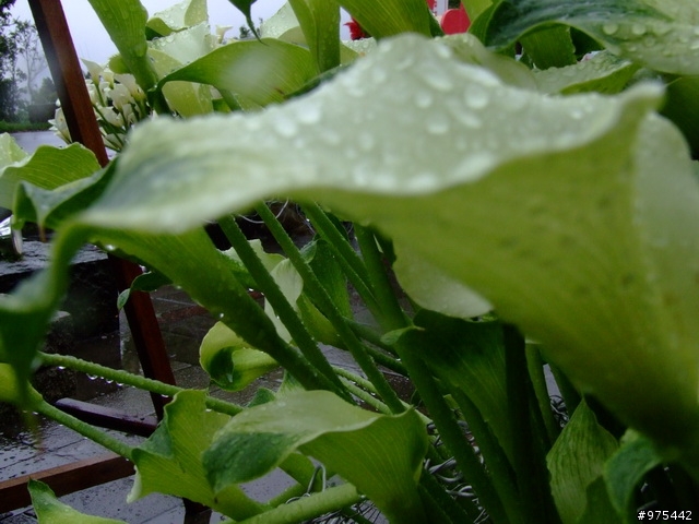 【遊記】一個人的北部慘痛之旅~~~~~~又冷又下雨又累還爆膝
