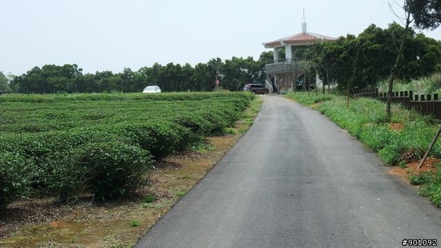 苗栗 三義 銅鑼 油桐花騎跡 (圖多)