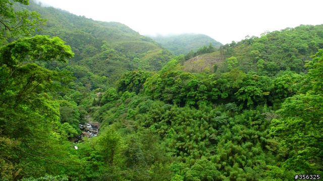 [遊記] 烏來雨中單車越野樂....卡拉莫基步道+哈盆越嶺古道(半程)