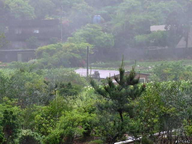 【遊記】一個人的北部慘痛之旅~~~~~~又冷又下雨又累還爆膝