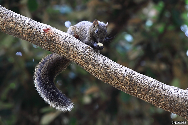 千年傳統．全新感受 ── 重新發現小小黑 EF 70-300mm F4-5.6 IS USM