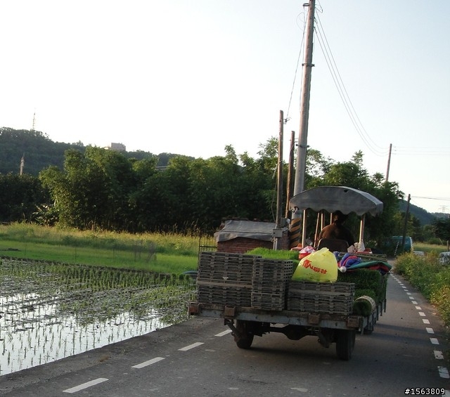 [遊記]路上有烏龜---與女王騎車趣