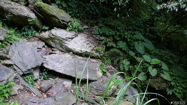 [遊記] 烏來雨中單車越野樂....卡拉莫基步道+哈盆越嶺古道(半程)