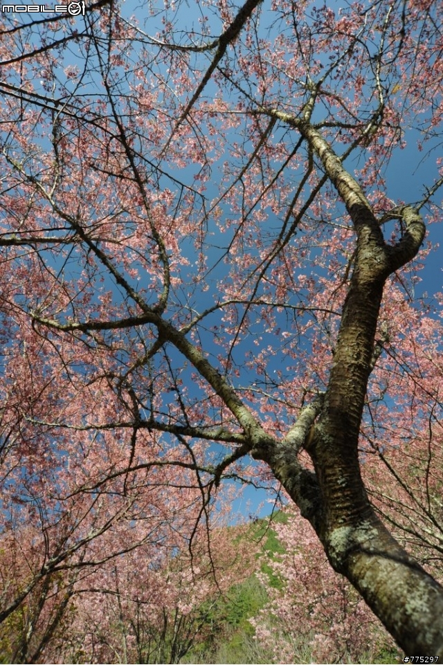 Nikon AF 18-35mm f/3.5-4.5D可以蓋樓嗎??