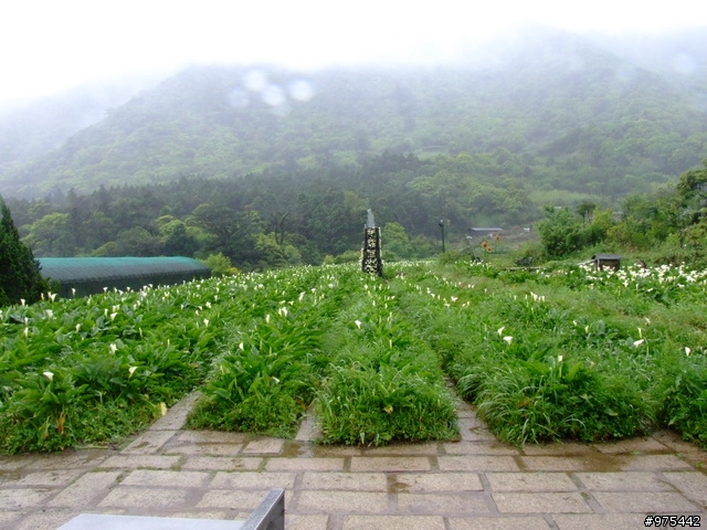 【遊記】一個人的北部慘痛之旅~~~~~~又冷又下雨又累還爆膝