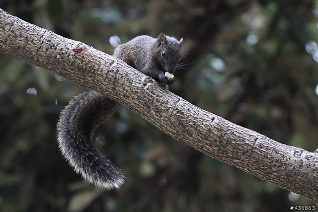 千年傳統．全新感受 ── 重新發現小小黑 EF 70-300mm F4-5.6 IS USM