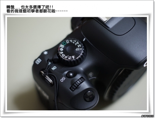 哇哈哈...我也有單眼了(CANON 550D)- 增加拍出照片4張