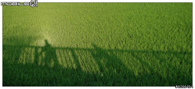 雅痞小摺環島8日，重裝上陣。