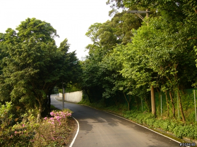 陽明山之橫嶺古道初探險