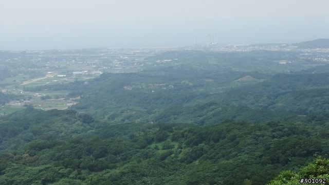 苗栗 三義 銅鑼 油桐花騎跡 (圖多)